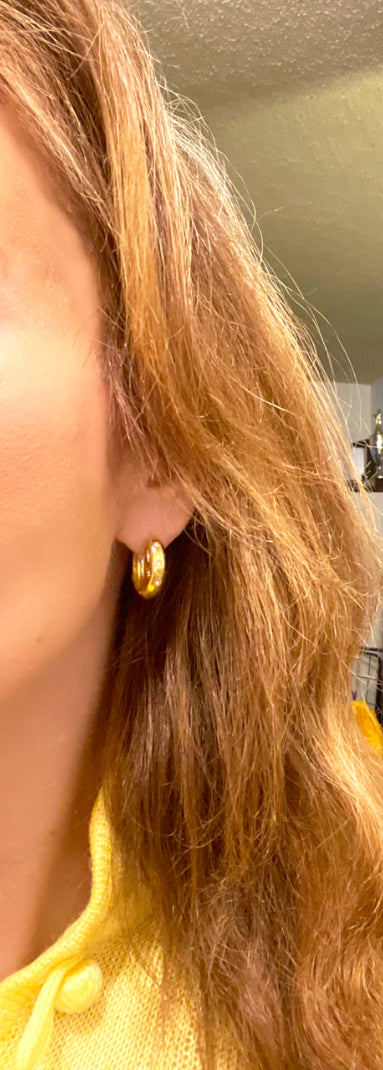 Earrings Hoops
