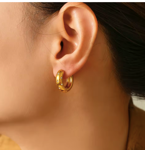 Earrings Hoops