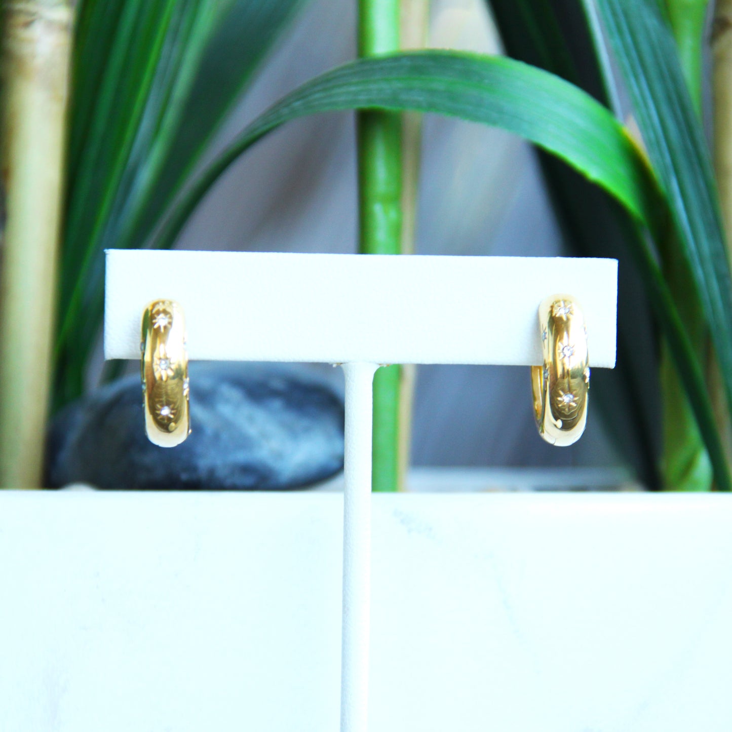 Earrings Hoops